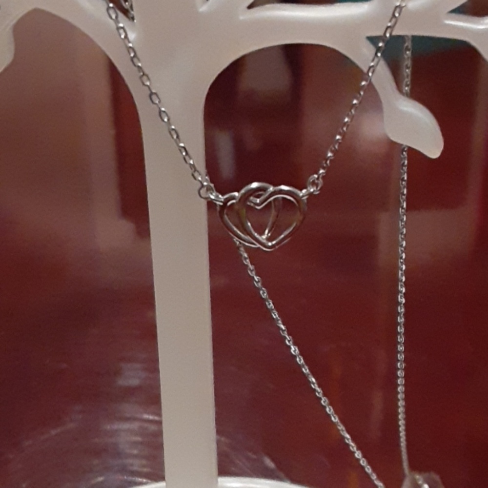 NWT-  2 Hearts Necklace